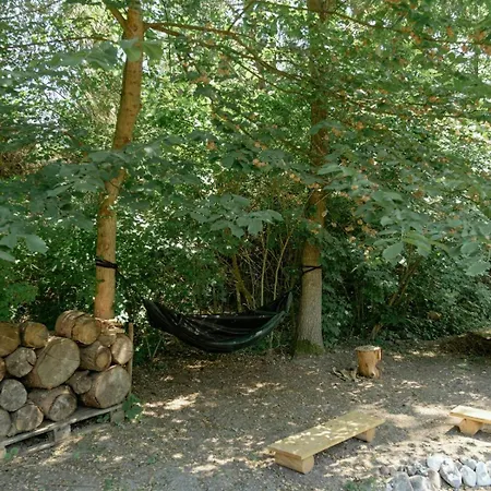 Near With Nordic Aesthetics *