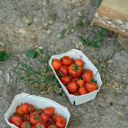 Casa de Férias Near With Nordic Aesthetics